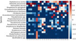 Heatmap of bacterial species investigated from study of Haemophilus ducreyi bacteria causing cutaneous ulcer outbreak in children, Sierra Leone, December 2025. Values are shown as log10(abundance + 0.01)%. Metagenomic analysis based on the DNBSEQ-G99 sequencing platform (MGI Tech, https://www.mgi-tech.com). The heatmap revealed that H. ducreyi, the third most abundant bacterium, was the most suspected causative agent through 22 skin swab samples. The samples were designated as follows: FS, samples collected on November 18, 2025; S, samples collected on December 12, 2025; AS and BS, samples collected on December 18, 2025.