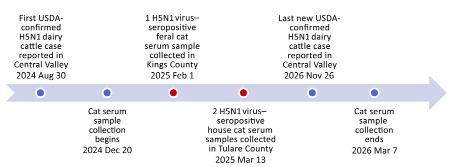 Timeline of highly pathogenic avian influenza A(H5N1) dairy cattle outbreaks and domestic cat (Felis catus) serum sample collection, Central Valley, California, USA, 2024–2026. USDA, US Department of Agriculture.