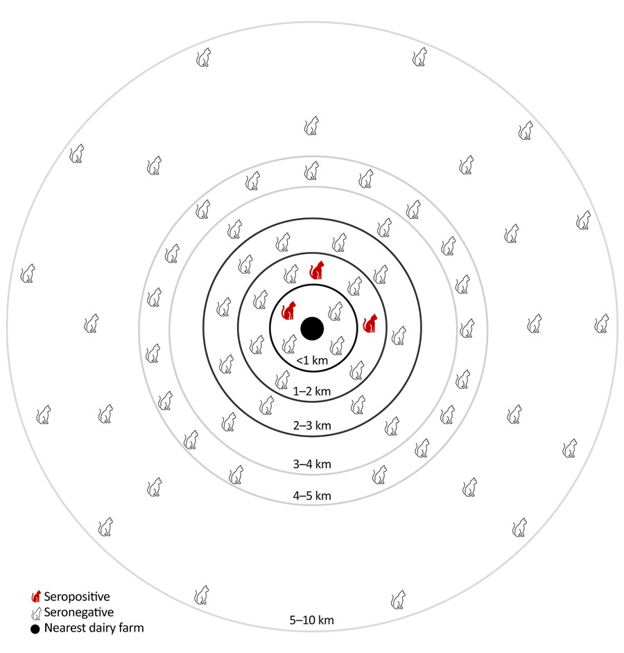 Grouped distance to the nearest dairy farm for domestic cats (Felis catus) seropositive and seronegative for highly pathogenic avian influenza A(H5N1) clade 2.3.4.4b virus near epicenter of dairy cattle outbreaks, Central Valley, California, USA, 2024–2026.
