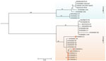 Maximum-likelihood phylogenetic tree of Powassan 3′ untranslated region created for study of Powassan virus in Ixodes scapularis tick populations, Illinois, USA, 2025. Branch lengths estimated using Hasegawa-Kishino-Yano substitution model with a gamma-distributed rate variation across 4 site categories. Bootstrap values >80% (1,000 replicates) are shown. Orange squares indicate samples from this study, clustering within lineage II together with samples previously detected in Wisconsin, USA. CAN, Canada; RUS, Russia.