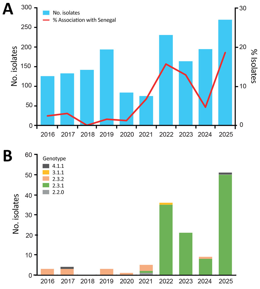 Distribution and genotype of Salmonella enterica serovar Typhi isolates in persons returning to France from Senegal in study of emergence of genotype 2.3.1 multidrug-resistant Salmonella Typhi strain, West Africa, 2016–2025. A) Total number of nonredundant Salmonella Typhi isolates received each year by France’s National Reference Center for Escherichia coli, Shigella, and Salmonella at the Institut Pasteur and percentage of those associated with Senegal. The unusually small number of Salmonella Typhi isolates received in 2020 and 2021 (<100 isolates) occurred in the context of COVID-19–related travel restrictions. B) Annual distribution of genotypes for Salmonella Typhi isolates obtained from persons returning from Senegal.