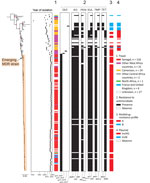 Maximum-likelihood phylogeny of 208 Salmonella enterica serovar Typhi isolates in study of emergence of genotype 2.3.1 MDR Salmonella Typhi strain, West Africa, 2021–2025. Included are 207 genotype 2.3.1 isolates (167 from France’s National Reference Center for Escherichia coli, Shigella, and Salmonella and 40 published genomes) and the reference genome CT18. CT18 (genotype 3.2.1) was used as the outgroup of the tree (its associated characteristics in terms of geographic origin, antimicrobial-resistance genes, and plasmid types are not indicated). Red color on dendrogram indicates nodes with bootstrap support >98%. Light orange rectangle indicates emerging MDR strain. Year of isolation is indicated, together with the travel information (when available) for the isolate, to the right of the tree, because those parameters serve as a proxy for the probable origin of the isolates. Resistance to certain antimicrobial drugs and the presence (black) or absence (white) of antimicrobial-resistance genes (names given along bottom of tree) also are indicated to the right of the tree. The MDR profiles are indicated in red (for profile A; blaTEM-1, strA, strB, aadA1, sul1, sul2, dfrA1, and tet(B)) or blue (for profile B; blaTEM-1–like, strA, strB, sul2, dfrA14, and tet(A)). The presence of plasmid markers is indicated in blue (for IncN) or red (for IncHI1). Scale bar indicates number of nucleotide substitutions per variable site. Information displayed in this figure can be found for each individual strain in Appendix 2 (https://wwwnc.cdc.gov/EID/article/32/10/26-0813-App2.xlsx). AG, aminoglycosides; MDR, multidrug-resistant; PEN, penicillins; QUI, quinolones; SUL, sulfonamides; TET, tetracyclines; TMP, trimethoprim.