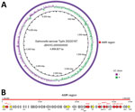 Chromosomal integration of an AMR region derived from an IncHI1 plasmid in in study of emergence of genotype 2.3.1 multidrug-resistant Salmonella enterica serovar Typhi strain, West Africa, 2021–2025. A) Circular representation of the complete genome of isolate 202210167, a representative isolate of the emerging strain. Red square indicates the chromosomally integrated 34,664-bp AMR region in the external ring. B) Linear representation of the integrated AMR region containing the 8 AMR genes identified in the emerging strain (red indicates AMR genes, yellow indicates insertion sequences, and gray indicates other genes). AMR, antimicrobial resistance.