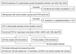 Flow diagram of episode inclusion in study of 5-biomarker definition for hvKp bloodstream infection and abscess complications, Japan, 2022–2024. Of 290 first episodes of Klebsiella pneumoniae complex bloodstream infection, 207 K. pneumoniae episodes were included in the clinical analysis. Whole-genome sequencing was performed on 164 isolates by using an enriched sampling strategy comprising all hvKp isolates, all isolates with 1–4 biomarkers, all 3GCR isolates, and a random sample of the cKp isolates with overlap between categories. 3GCR, third-generation cephalosporin–resistant; cKp, classical K. pneumoniae; hvKp, hypervirulent K. pneumoniae.