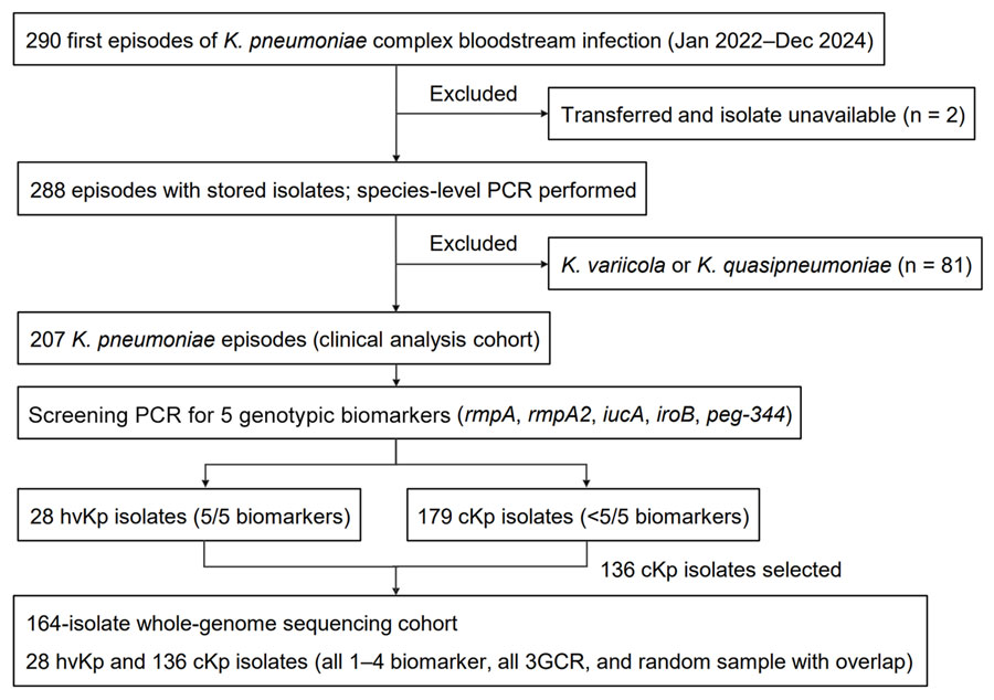 Flow diagram of episode inclusion in study of 5-biomarker definition for hvKp bloodstream infection and abscess complications, Japan, 2022–2024. Of 290 first episodes of Klebsiella pneumoniae complex bloodstream infection, 207 K. pneumoniae episodes were included in the clinical analysis. Whole-genome sequencing was performed on 164 isolates by using an enriched sampling strategy comprising all hvKp isolates, all isolates with 1–4 biomarkers, all 3GCR isolates, and a random sample of the cKp isolates with overlap between categories. 3GCR, third-generation cephalosporin–resistant; cKp, classical K. pneumoniae; hvKp, hypervirulent K. pneumoniae.