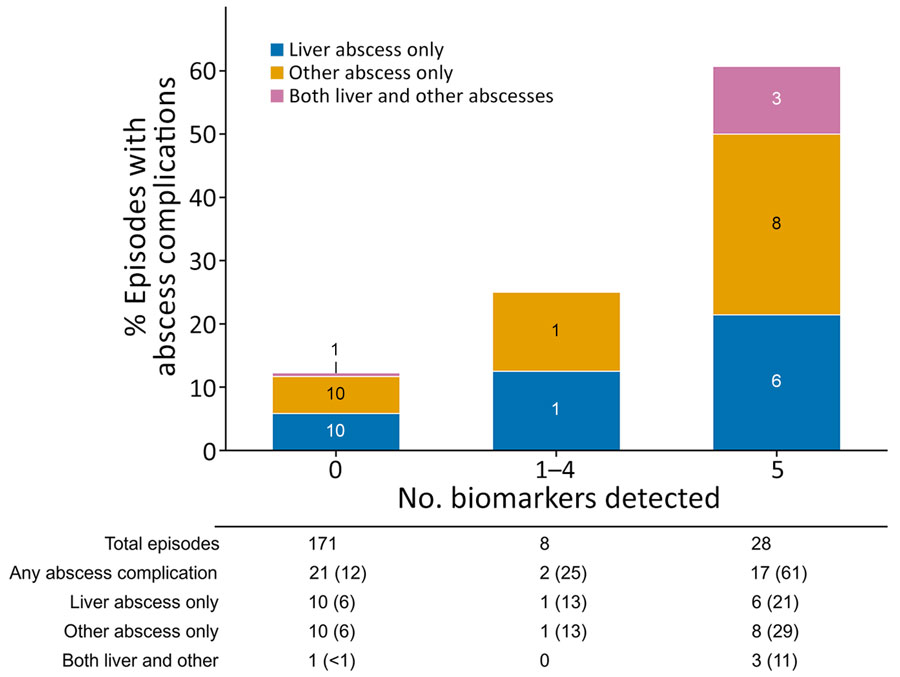 Abscess complications among 207 episodes of Klebsiella pneumoniae bloodstream infection by biomarker group in study of hypervirulent K. pneumoniae, Japan, 2022–2024. Stacked bars show mutually exclusive categories of liver abscess only, nonhepatic abscess only, and both liver and nonhepatic abscesses. Bar height represents the percentage of episodes with any abscess complication; numbers within colored bar segments indicate case counts. Case counts and percentages are provided below each bar.