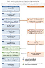 Surveillance, reporting, and laboratory specimen pathways during large measles outbreak, Bangladesh, 2026. AHI, assistant health inspector; DGHS, Directorate General of Health Services; DHIS2, district health information software 2; EPI, Expanded Programme on Immunization; HA, health assistant; HI, health inspector; MIS, Management Information System; MT, medical technologist; NP, nasopharyngeal; NPML-IPH, National Polio, Measles and Rubella Laboratory; SIMO, surveillance and immunization medical officer; UHC, Upazila Health Complex (community health center); WHO, World Health Organization.