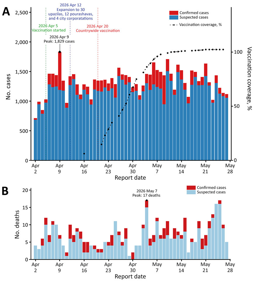 Daily epidemic curve showing the distribution of suspected and confirmed cases during large measles outbreak, Bangladesh, 2026. A) Overall confirmed and suspected cases during April 2–May 27, 2026, overlaid with coverage during vaccination campaign. Vaccination coverage shows >100% because Bangladesh targeted children 6–59 months of age for MR vaccination, regardless of vaccination status to achieve measles control goals. B) Number of deaths among suspected and confirmed cases. Reported cases peaked on April 9, 2026, with 1,829 cases reported in a single day, reflecting early explosive spread before expansion to a nationwide vaccination response on April 20, 2026.