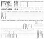 Thumbnail of The sequence of Plasmodium vivax from the Americas is distinguished from Old World isolates by analysis of the 3' end of the S-type rRNA gene. The S-type rRNA sequences were determined from cloned amplified products of parasite DNA and RNA.