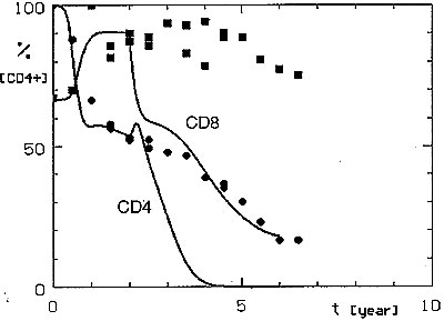 Simulated CD4+ and CD8+ lymphocyte dynamics after permanent treatment with anti-CD8 antibodies started 2 years after the acquisition of the HIV infection. Cells mediating the protective anti-HIV immune reaction are also affected by this treatment (R = 0.007, C = 0.007). *CD4+ cell observed values are depicted as circles and those of CD8+ lymphocytes as squares. Both simulated and observed values are depicted as a percentage of normal CD4+ lymphocyte numbers (the normal value of CD8+ lymphocytes