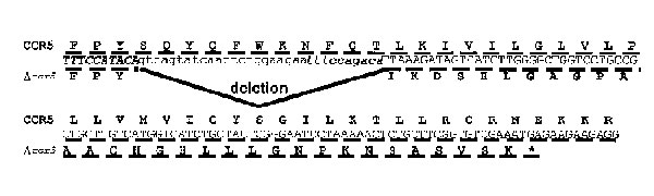 Figure 4 - Host Genes And HIV: The Role Of The Chemokine Receptor Gene ...