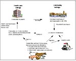 Thumbnail of Potential interaction between community and health-care settings in the transmission of VRE.