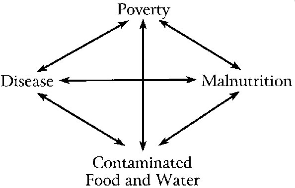 Problems causing foodborne disease in developing countries.