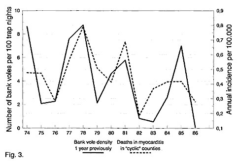 Myocarditis deaths, 1974–1986 relative to bank vole abundance 1 year previously (vole data from 1973-1985). Untransformed data.