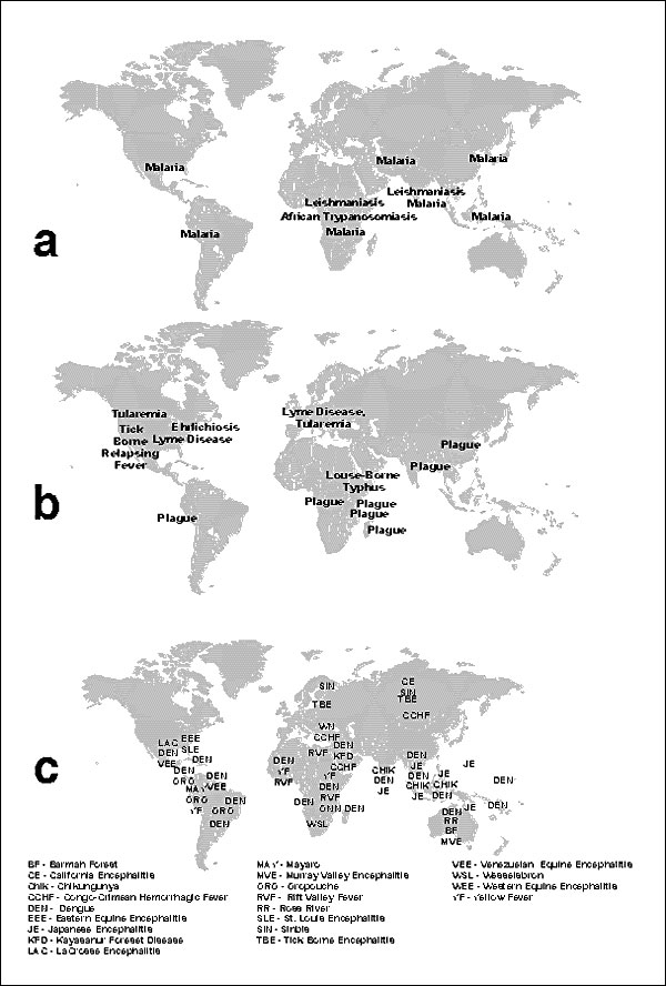 Epidemic vector-borne diseases, 1990-1997. A. parasitic diseases, B. bacterial diseases, C. arboviral diseases.