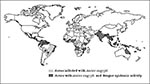 Thumbnail of Global distribution of Aedes aegypti and of epidemic dengue, 1980-1998.