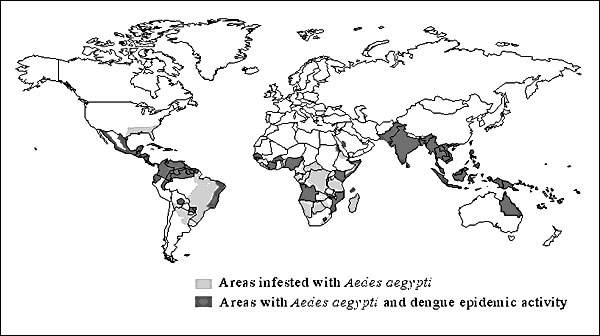 Global distribution of Aedes aegypti and of epidemic dengue, 1980-1998.