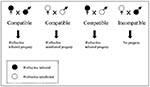 Thumbnail of Wolbachia-mediated cytoplasmic incompatibility.