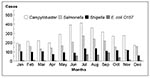 Thumbnail of Cases of Campylobacter and other foodborne infections by month of specimen collection; Centers for Disease Control and Prevention/U.S. Department of Agriculture/Food and Drug Administration Collaborating Sites Foodborne Disease Active Surveillance Network, 1996.