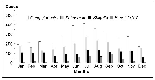 Cases of Campylobacter and other foodborne infections by month of specimen collection; Centers for Disease Control and Prevention/U.S. Department of Agriculture/Food and Drug Administration Collaborating Sites Foodborne Disease Active Surveillance Network, 1996.