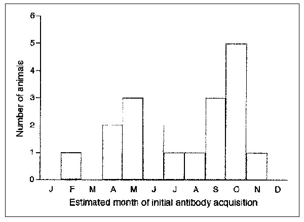 Initial antibody acquisition in Peromyscus boylii at two mark- recapture webs, by month, December 1995–November 1997.