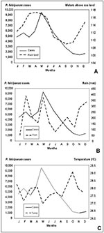 Thumbnail of Plasmodium falciparum malaria incidence in Loreto. A. Average Amazon River level at Iquitos by month. B. Precipitation at Iquitos by month. C. Average temperature (°C) at Iquitos by month.