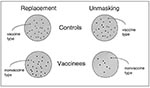 Thumbnail of Two hypotheses explain the observation of higher rates of carriage of nonvaccine serotypes in vaccine recipients than in controls. Large circles represent plated samples from controls (top) andvaccine recipients (bottom). The left side shows true serotype replacement; here a control carries vaccine types (white colonies), while a vaccine recipient does not, and (possibly as a result of decreased competition) now carries only nonvaccine types (black colonies). The right side shows th