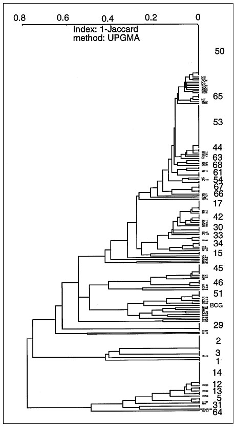 A cumulative dendrogram for the 218 Caribbean isolates of Mycobacterium tuberculosis. New types not visible on individual dendrograms can now be observed (types 1, 5, 15, 31, 54, 61, 64, and 68).