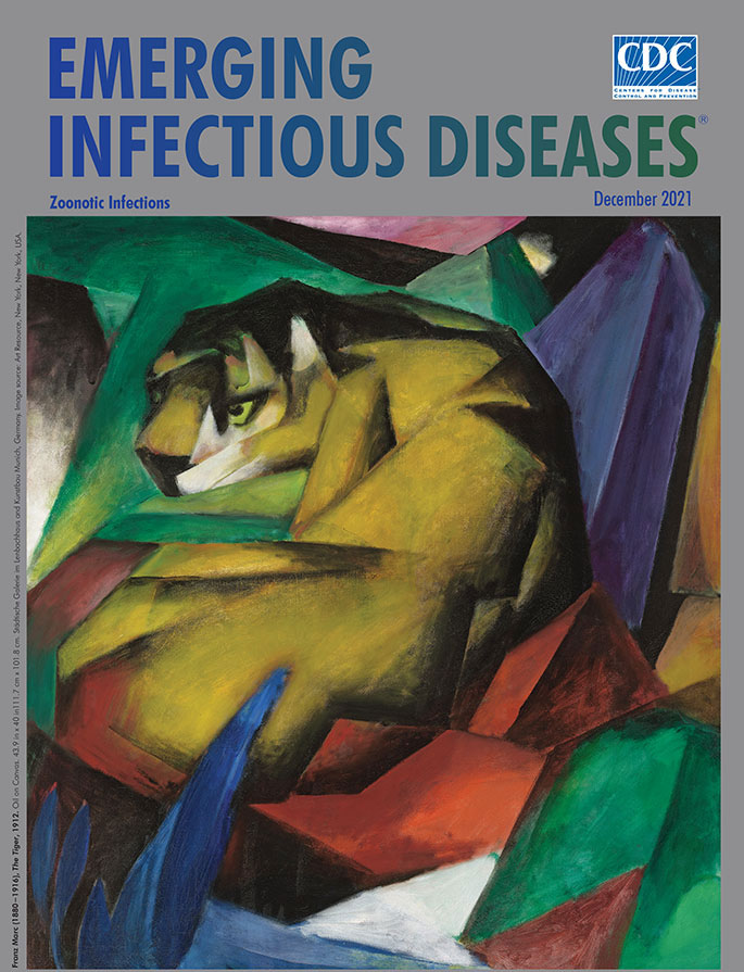 Franz Marc (1880−1916), The Tiger, 1912. Oil on canvas. 43.9 in x 40.0 in/111.7 cm x 101.8 cm. Städtische Galerie im Lenbachhaus and Kunstbau, Munich, Germany. Image source: Art Resource, New York, New York, USA.