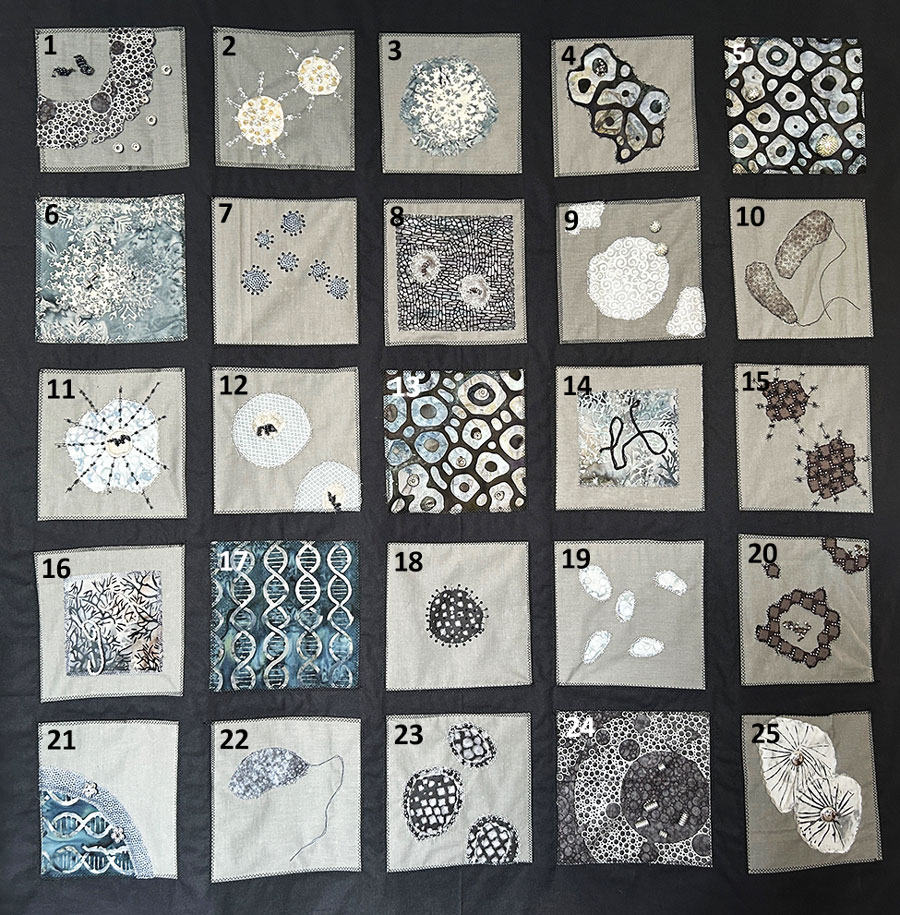 Key for quilt squares in The Pathogen Quilt, created by Mija-tesse Ververs, MMed, MPH. Squares 1, 8, 12, and 24, DNA and RNA viruses and replication; squares 2, 3, 6, 12, 18, and 23, pathogens with surface proteins such as glycoproteins, hemagglutinins, or neuraminidases, including HIV, SARS-CoV-2, influenza virus, Nipah virus, and mpox virus; squares 5 and 13, red blood cells; squares 10 and 22, Vibrio cholerae; squares 14 and 16, Ebola virus; squares 17 and 21, viral DNA. The remaining squares represent fantasy pathogens, designed for their visual appeal by the artist.