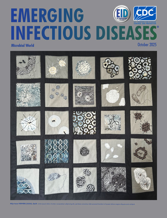 Mija-tesse Ververs (1962–), The Pathogen Quilt, 2021. Fabric, beads, and iron wire. 43 in x 45 in/110 cm x 114 cm. Personal collection. Digital image courtesy of Mija-tesse Ververs.