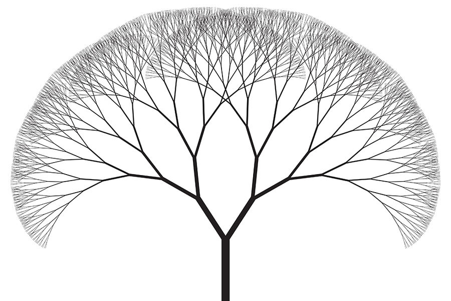 Symmetric fractal binary tree silhouette. Image by synthetick. Source: Adobe Stock (https://stock.adobe.com/1569039416).