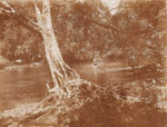 Thumbnail of Ebola River, ca. 1932. Photo courtesy Pierre Rollin.