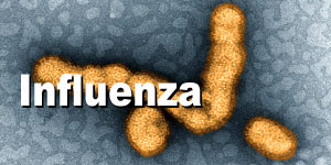 Influenza Spotlight