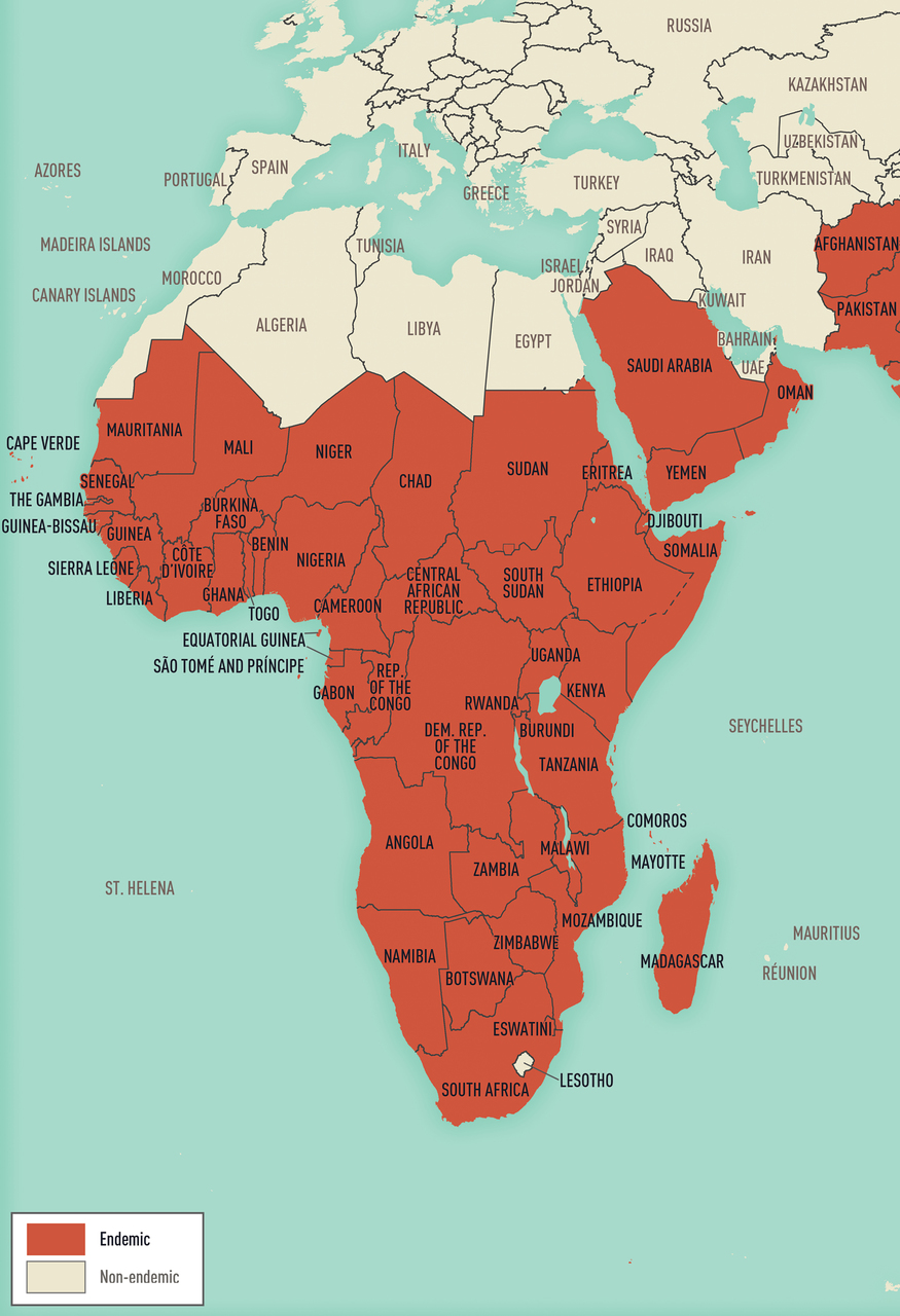 Map 5-13 Malaria-endemic destinations in Africa & the Middle East