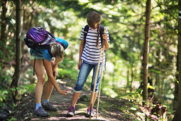 Tick Repellent Hiking Socks  Repel Insect and Prevent Bug Bites – Insect  Shield