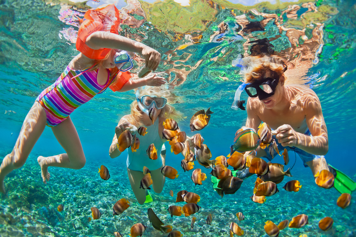 Children snorkeling with fish