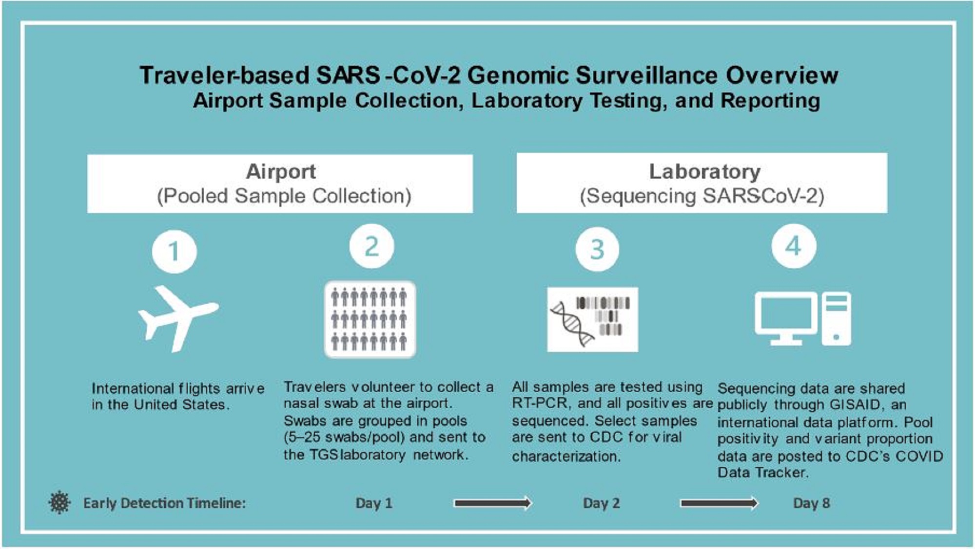 Traveler-based SARS-CoV-2 Genomic Surveillance Overview diagram