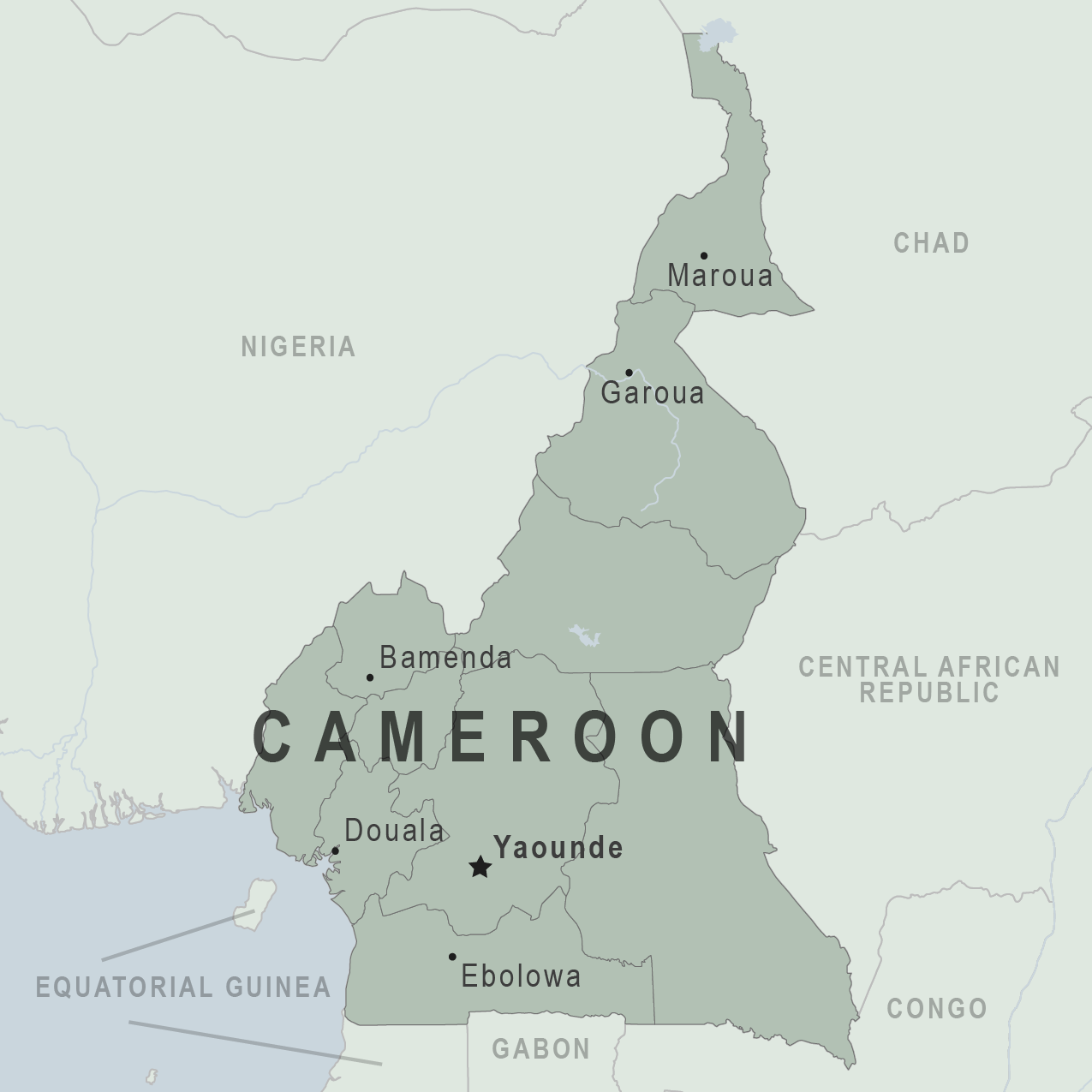 cdc travel cameroon