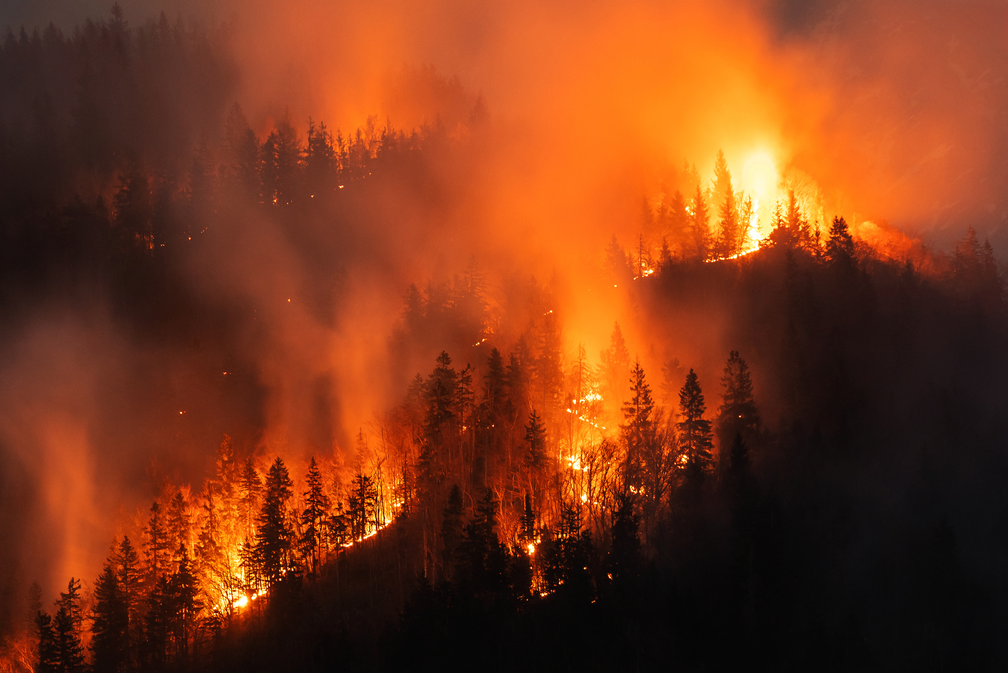 forest fire