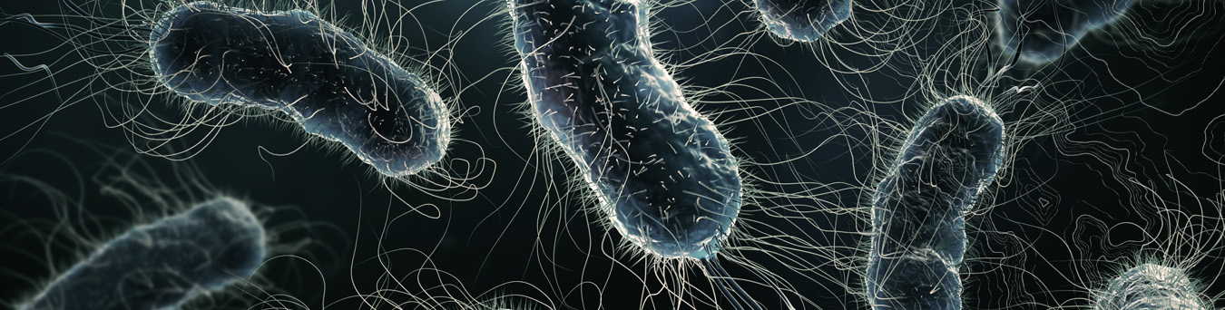 chapter 5 bacterial diseases